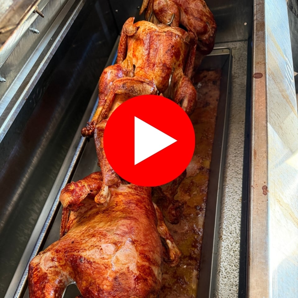 Untitled (480 x 480 px) (1)