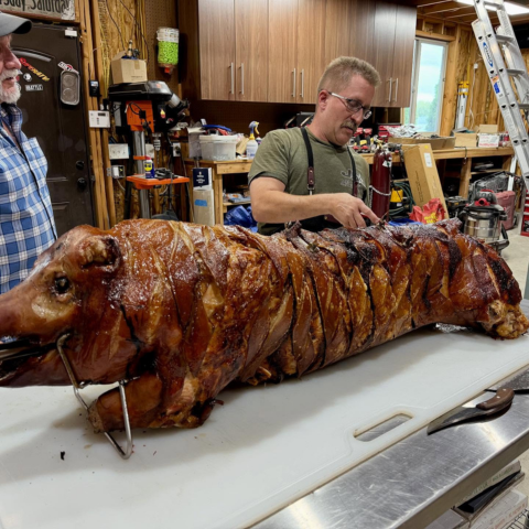 Untitled (480 x 480 px) (2)