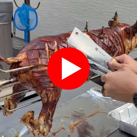 Untitled (480 x 480 px)-1